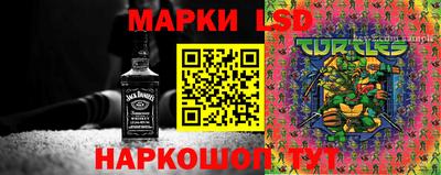 ГАЛЛЮЦИНОГЕННЫЕ ГРИБЫ Будённовск