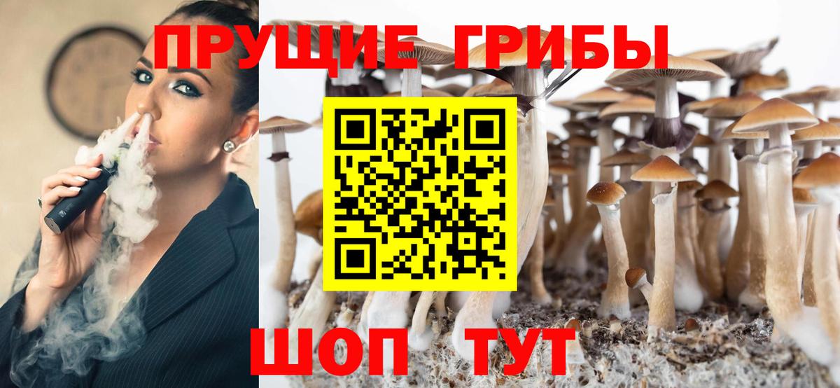 Галлюциногенные грибы мицелий Тихвин