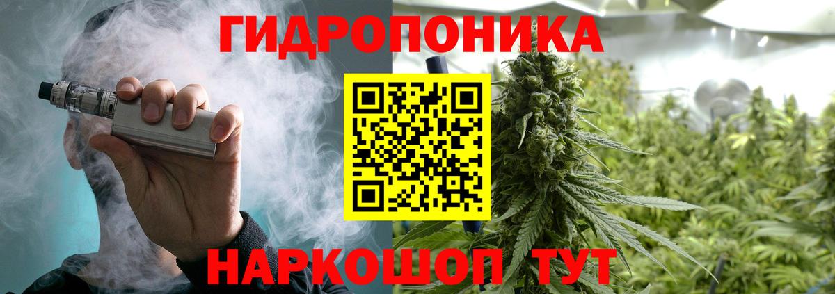 Тихвин  Марихуана планчик  Каннабис индика  МАРИХУАНА THC 21%  Шишки марихуана MAZAR  Вход с VPN 